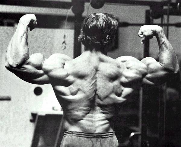 Arnold-Reverse-Double-Biceps-Back-Pose.jpg