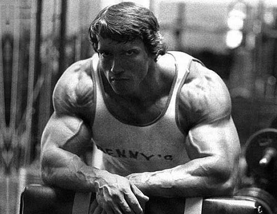 arnold schwarzenegger bodybuilding diet. Top 10 Arnold Schwarzenegger